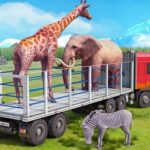 Conducere camion Transport de animale